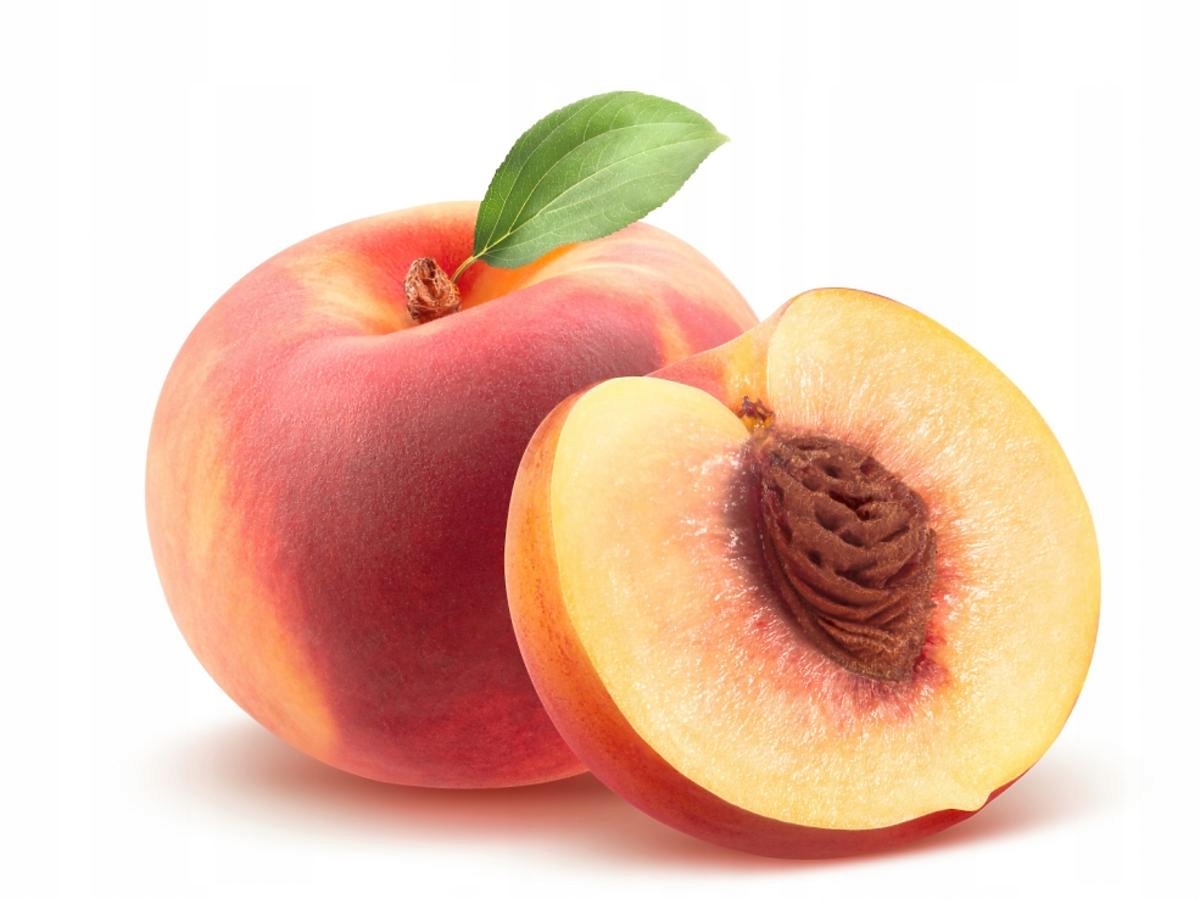 8cdf678771bbd2eb3c5672447c076025