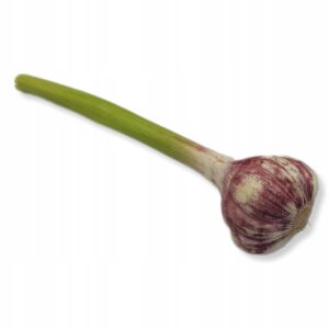 f5a41bd7510e8ae99c40429a67c075c0