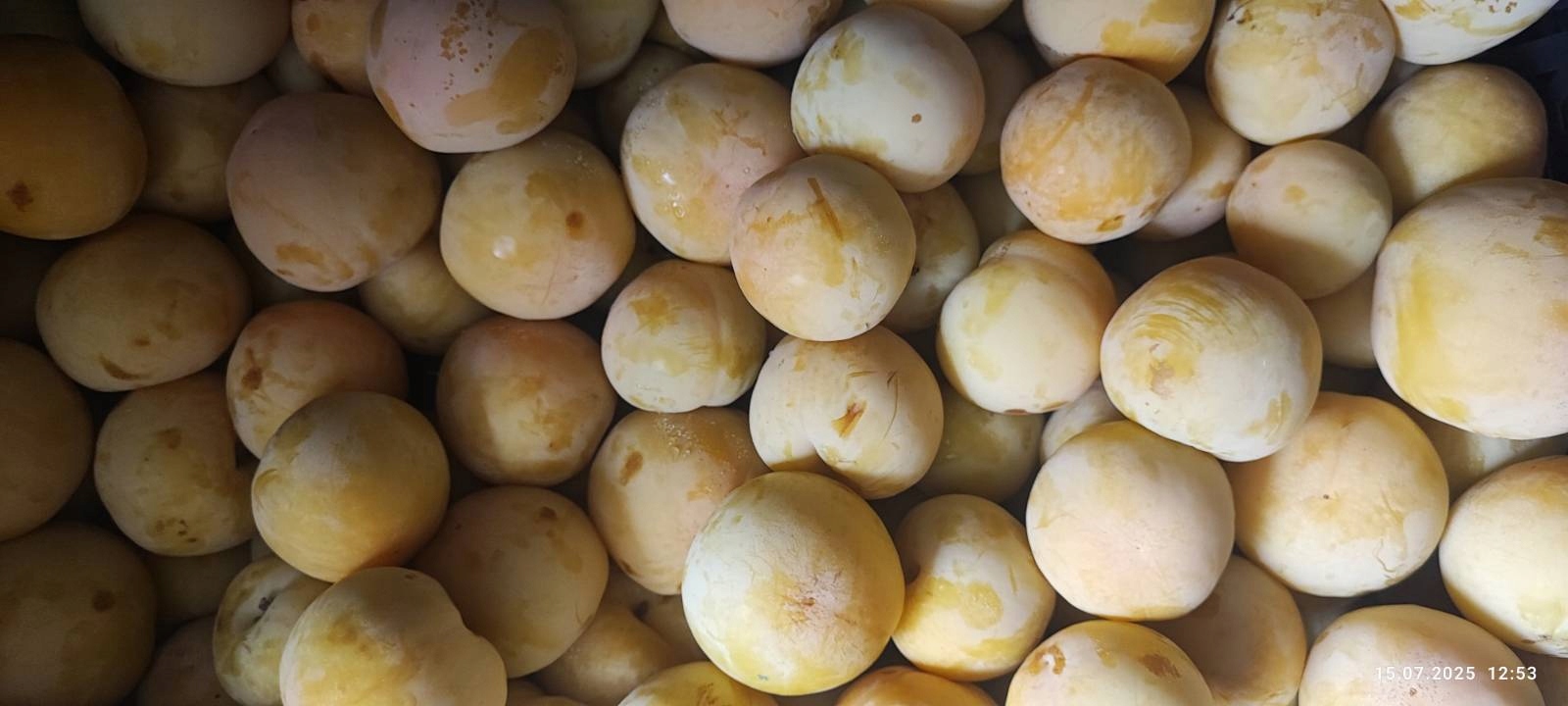 212607c836540af1d9dc1bb6a3c9794c