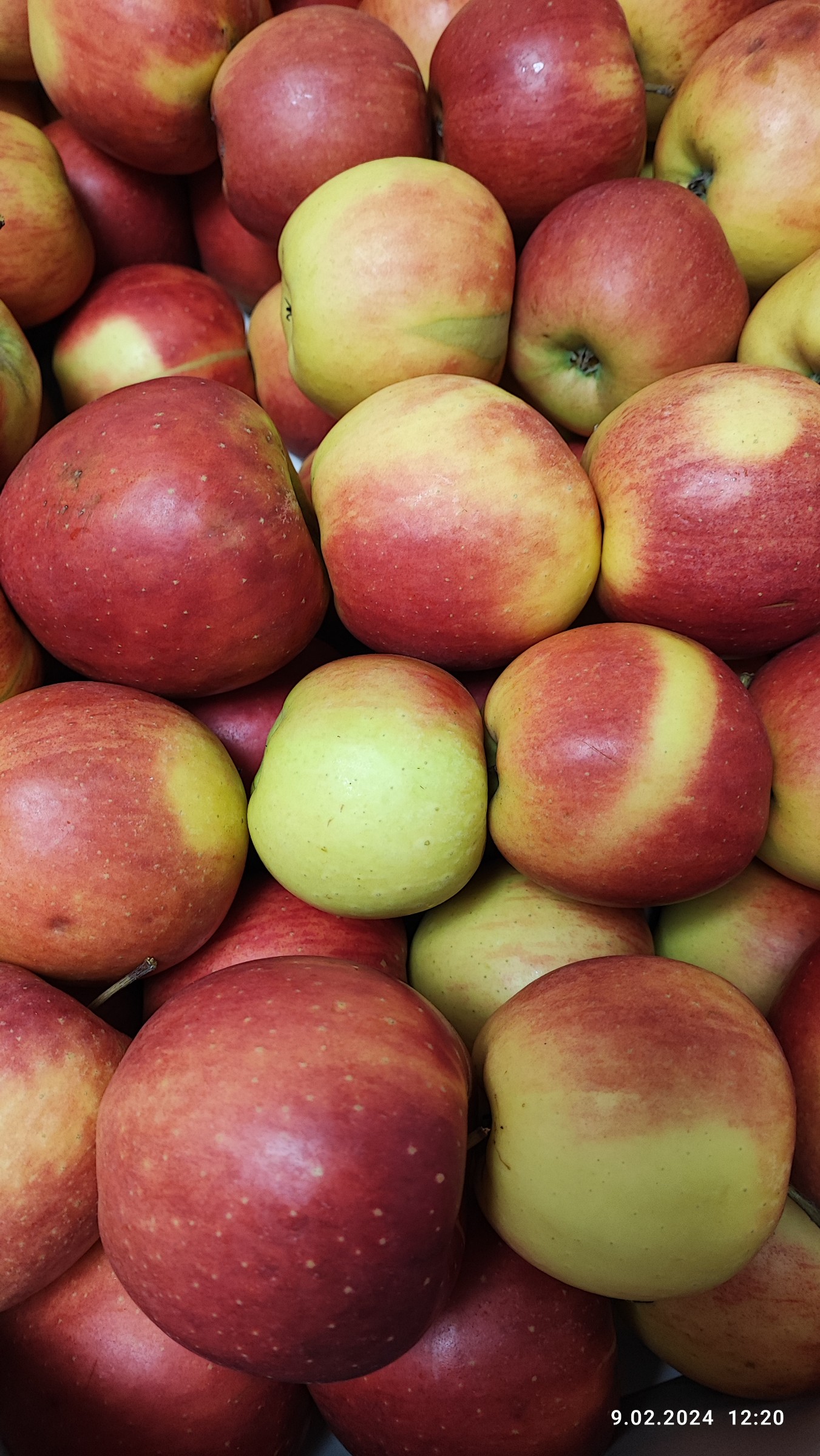 dd86f5634d8f77924081c89a900c0714