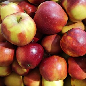 1a9064241e5c63eab8c7bb82d3a27df3