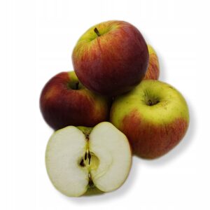 ccff6dad2d4c7b033301c6325c94e711