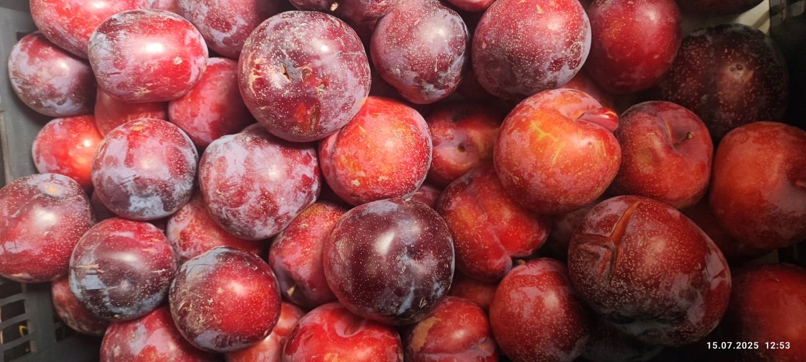 e6c4956e631ed0717b62b7ba65ac9273