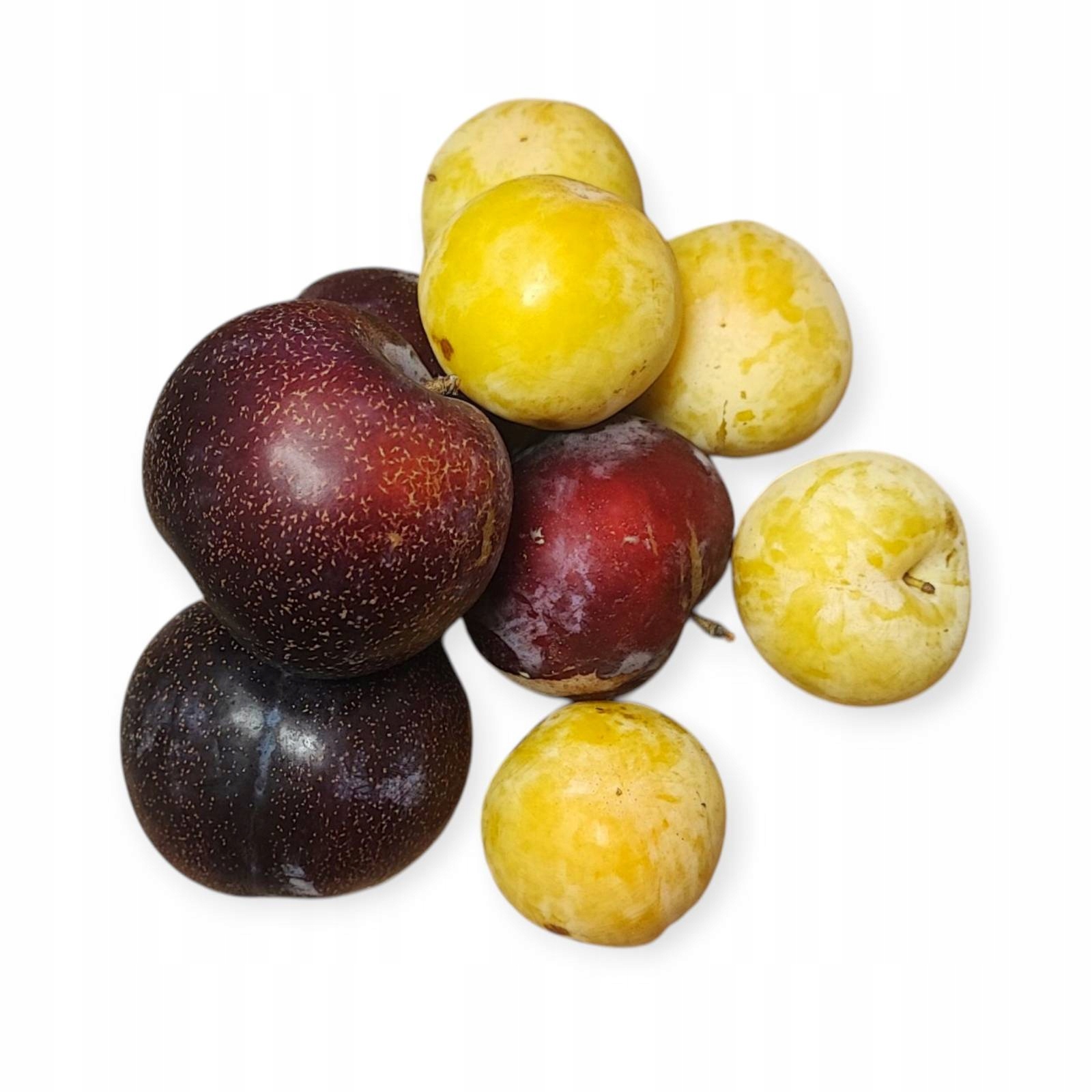 e93a4c0c2d5f35f01663eb0d9394e07e