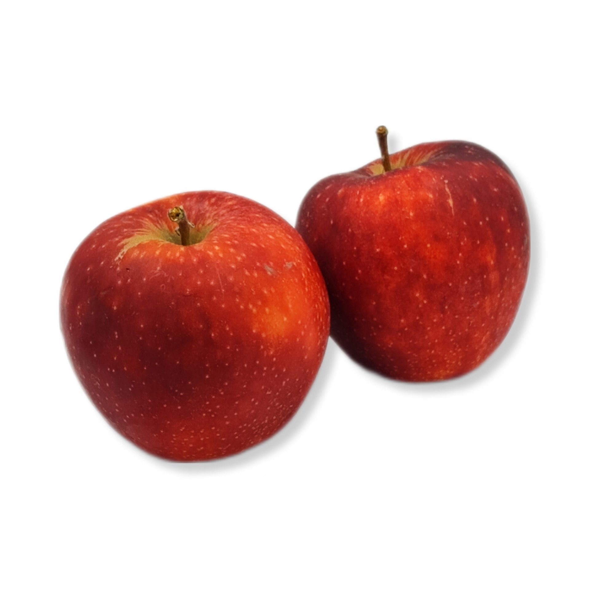 6ce0e60ddcb5e350d10b2bbe1b8f4200