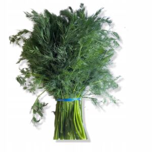 d816b9e91f8fdef3d87c82b03a9104bd