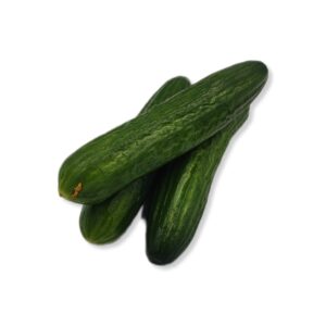 01debf6c3cdb70493e114b617f2a23bf