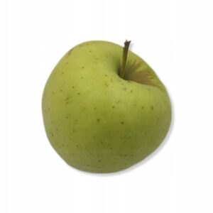 5976aa814d835c726cd751b484be1d6a