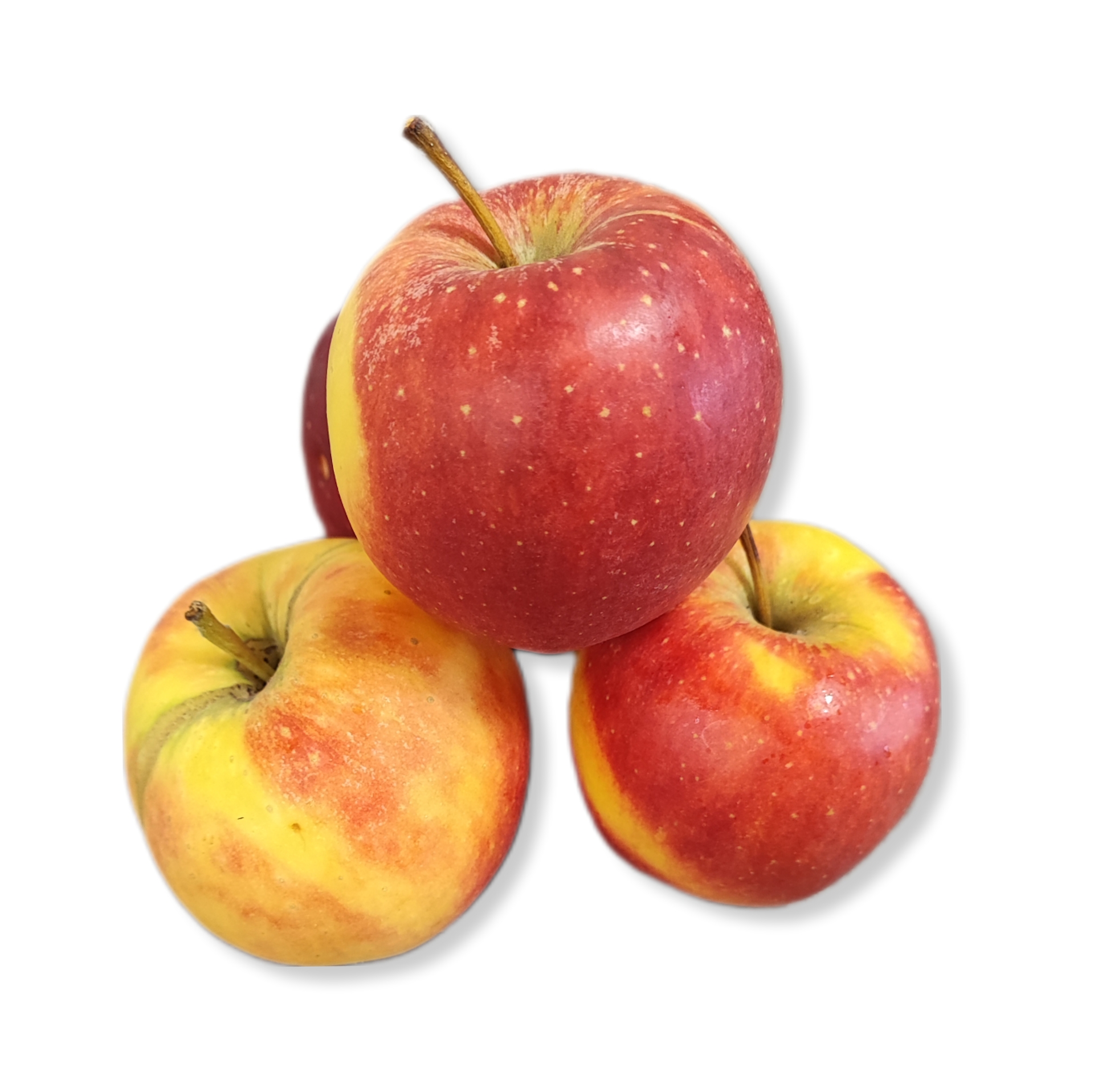 89068bca0ecc485be36584b1b6ab7cc1