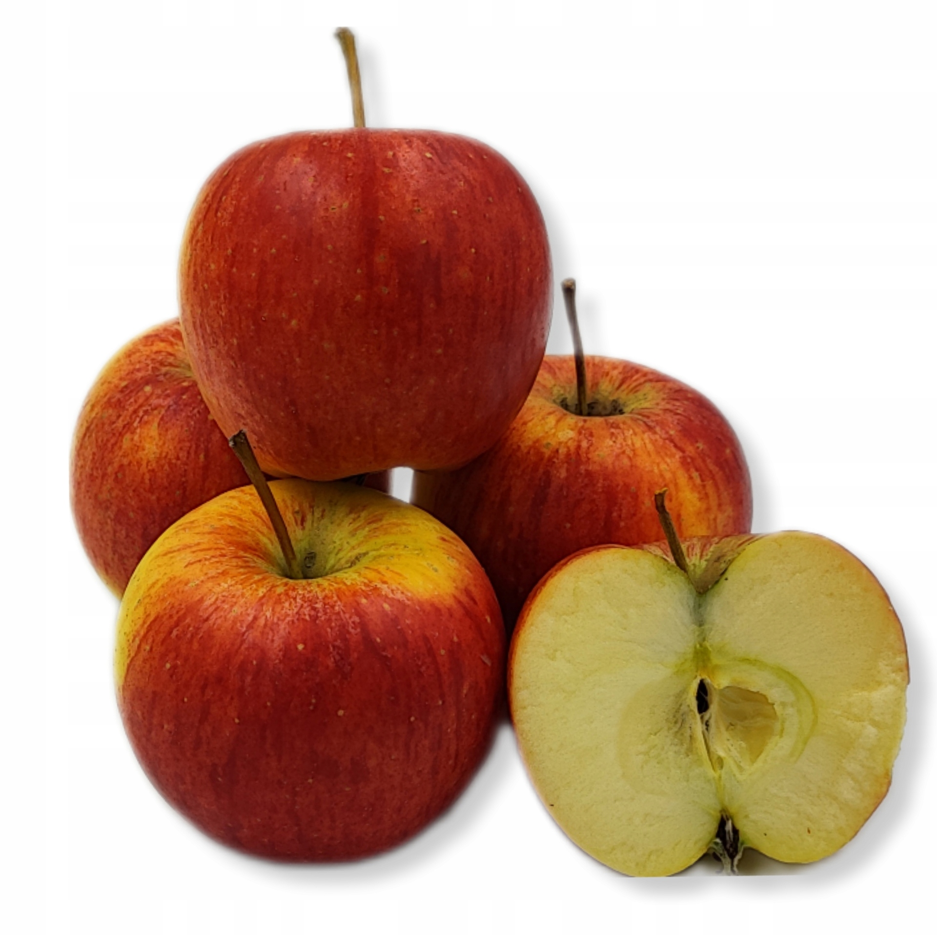 7f1fda93647b7a2716e4dd373d5464fc