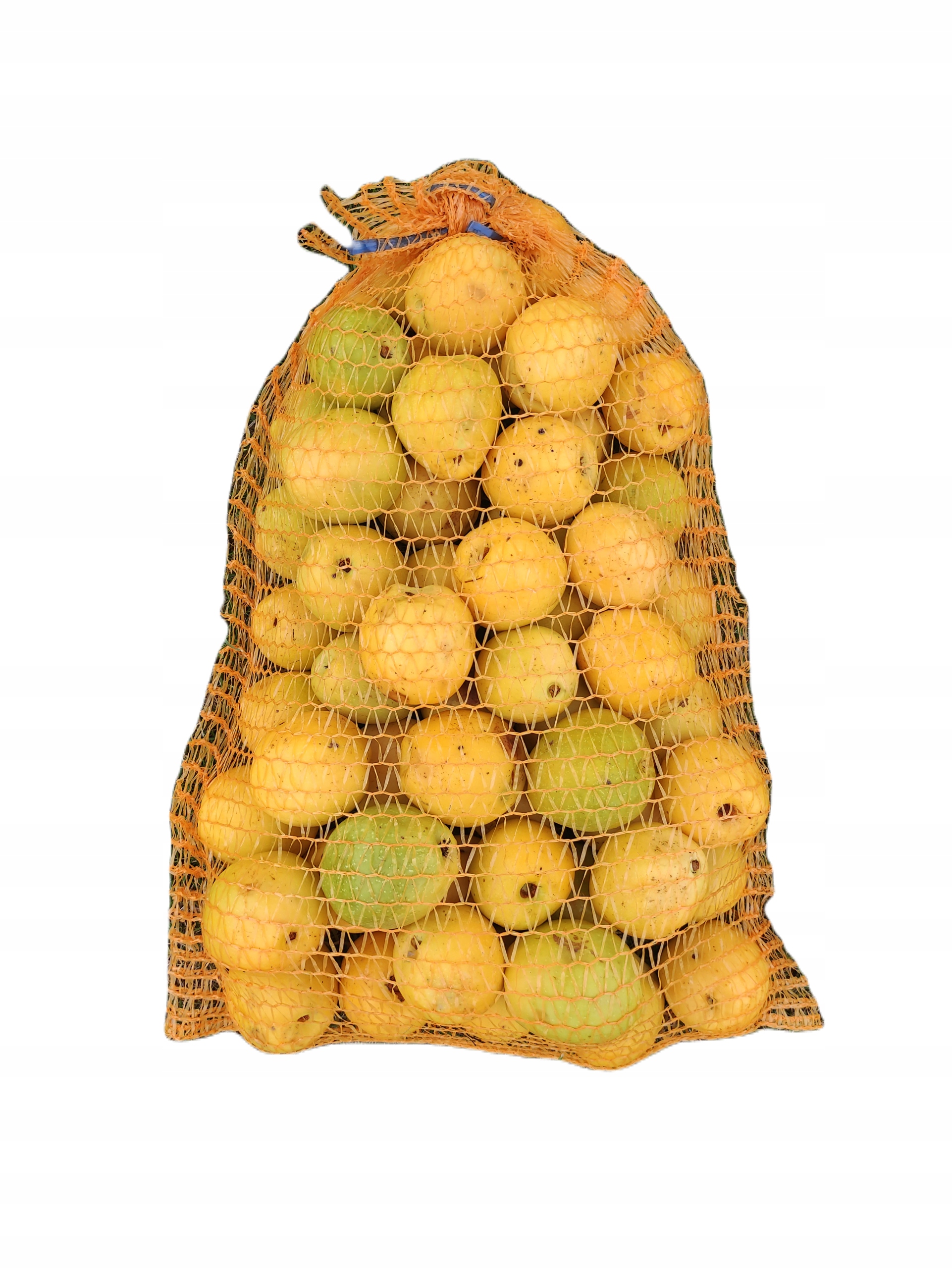 09f716108a8cc1a83eef2090f0513dc3