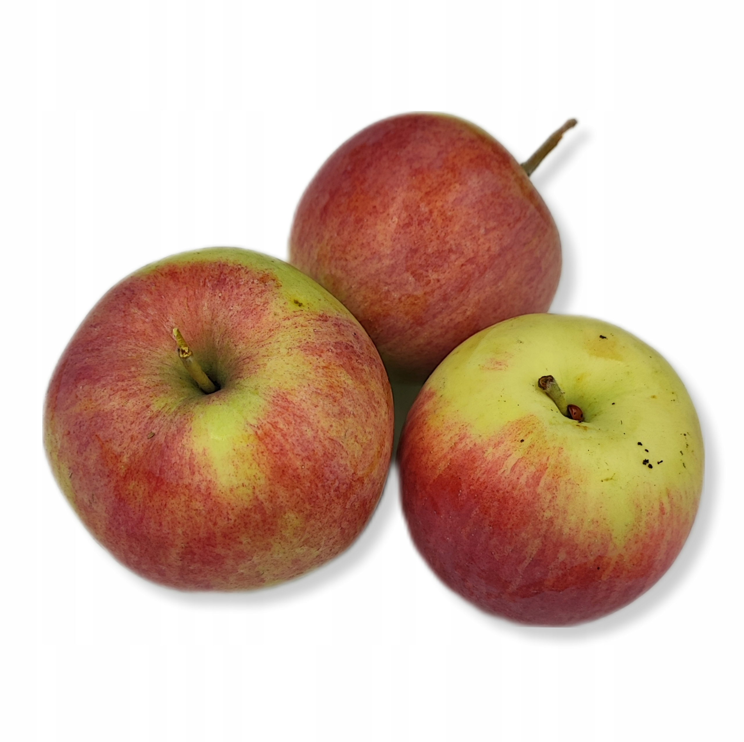 c7d0dac855336e839f66952f22d64f27