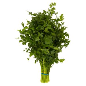 2a5828499afd23f414b2a709540654de