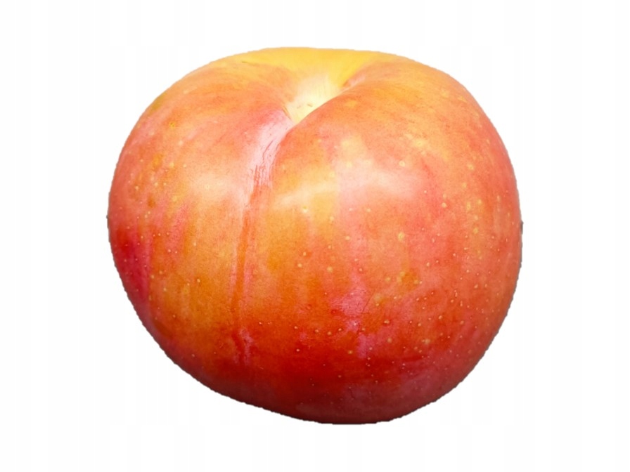 5567b6125911fe4173591b6a9e35c358