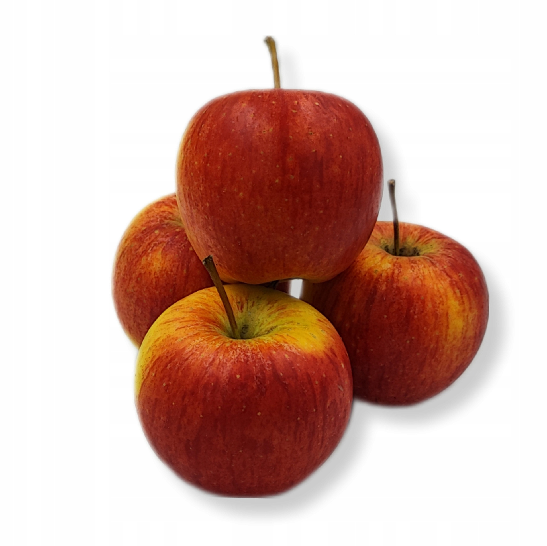 aad2eff2a4a40552c928d32b25f428b7