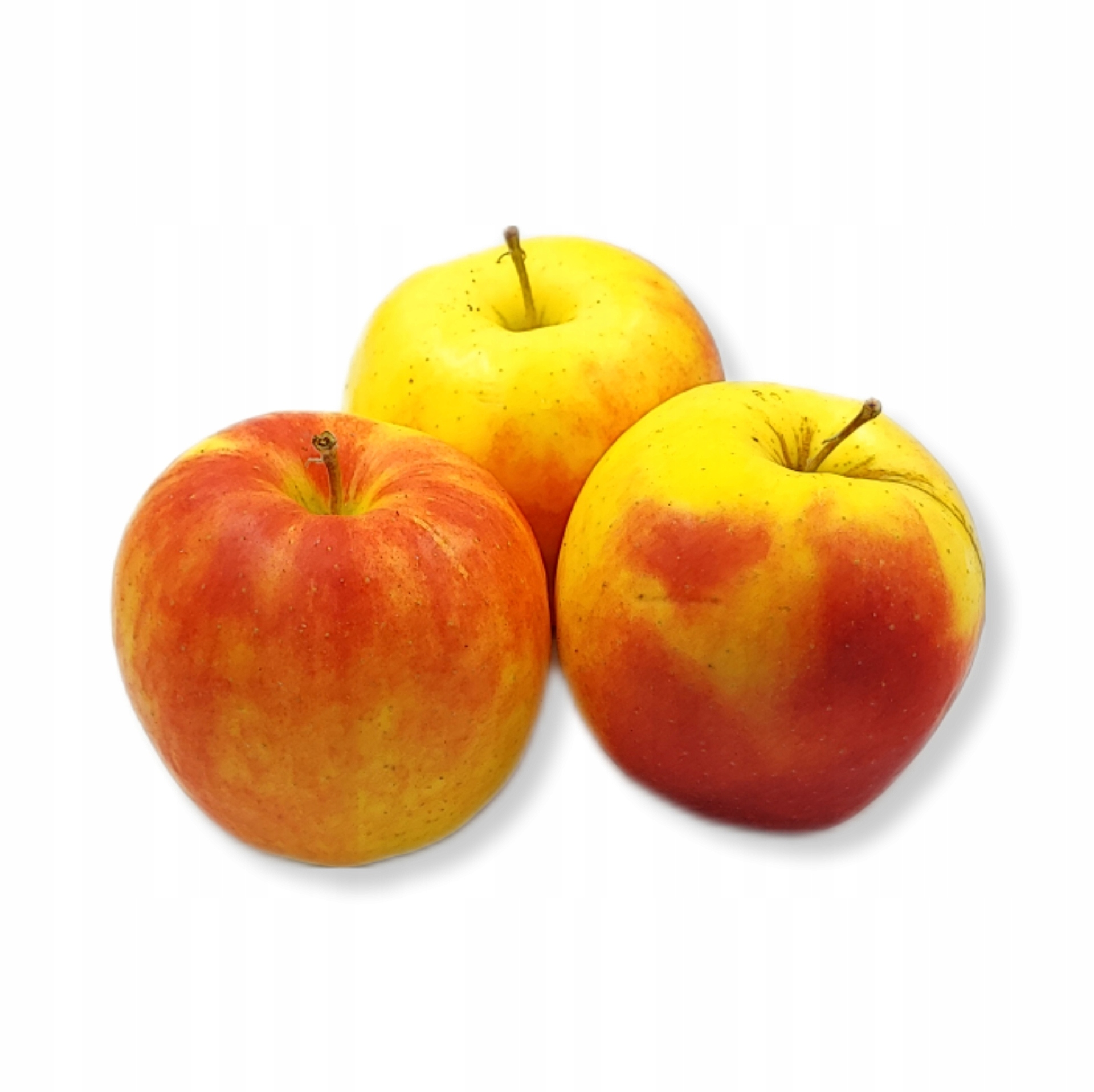 11bf3f2ae329e8cc6daccb960d6fa0e2