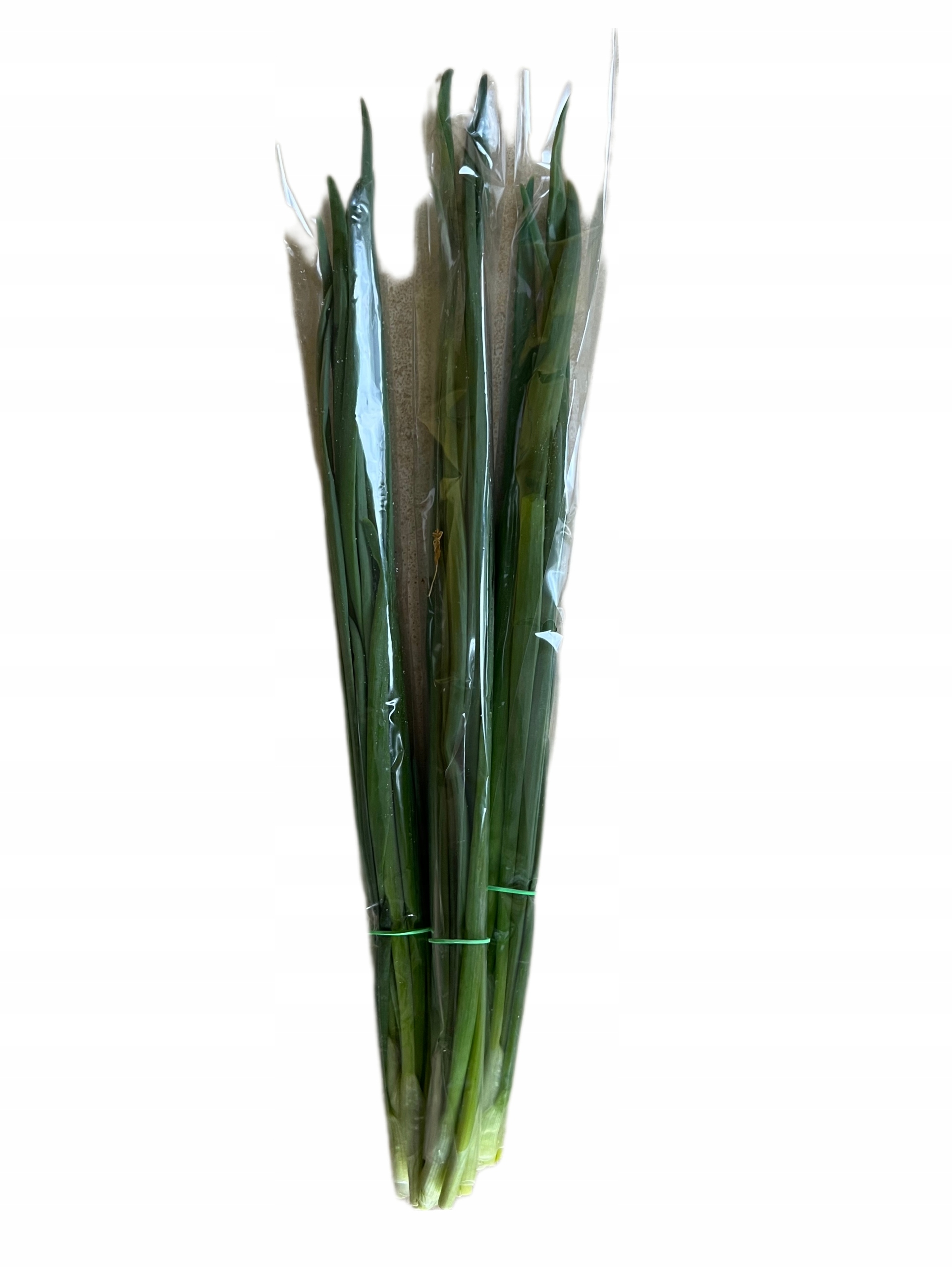 d980521a4560eb7e3ac26c65eafbd7ac