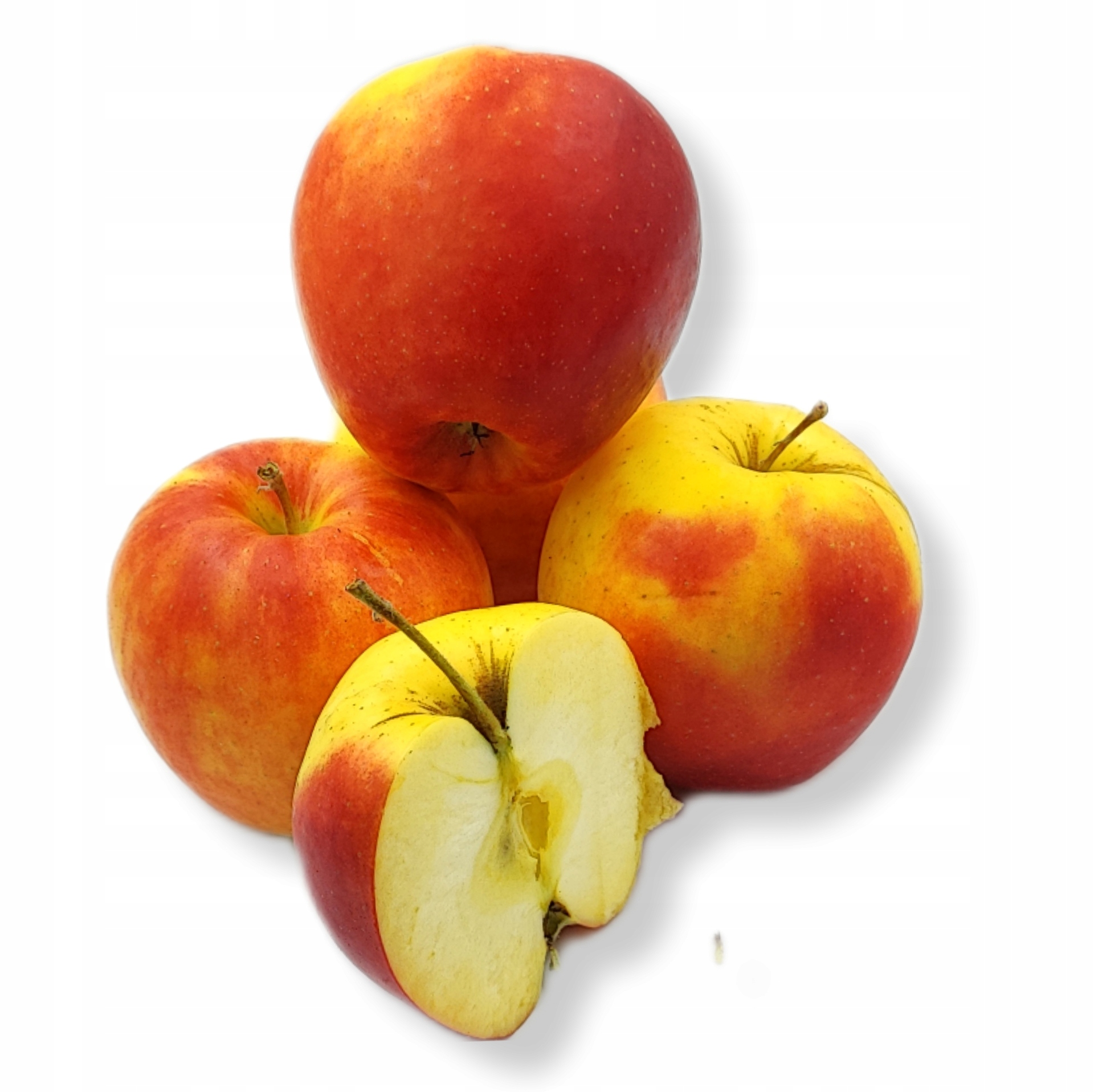 37e22c56bfded9a0582d0383d017079d