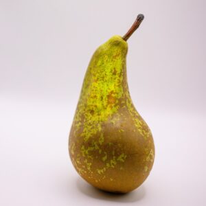 367de2fb88850665a42de9665feeda6c