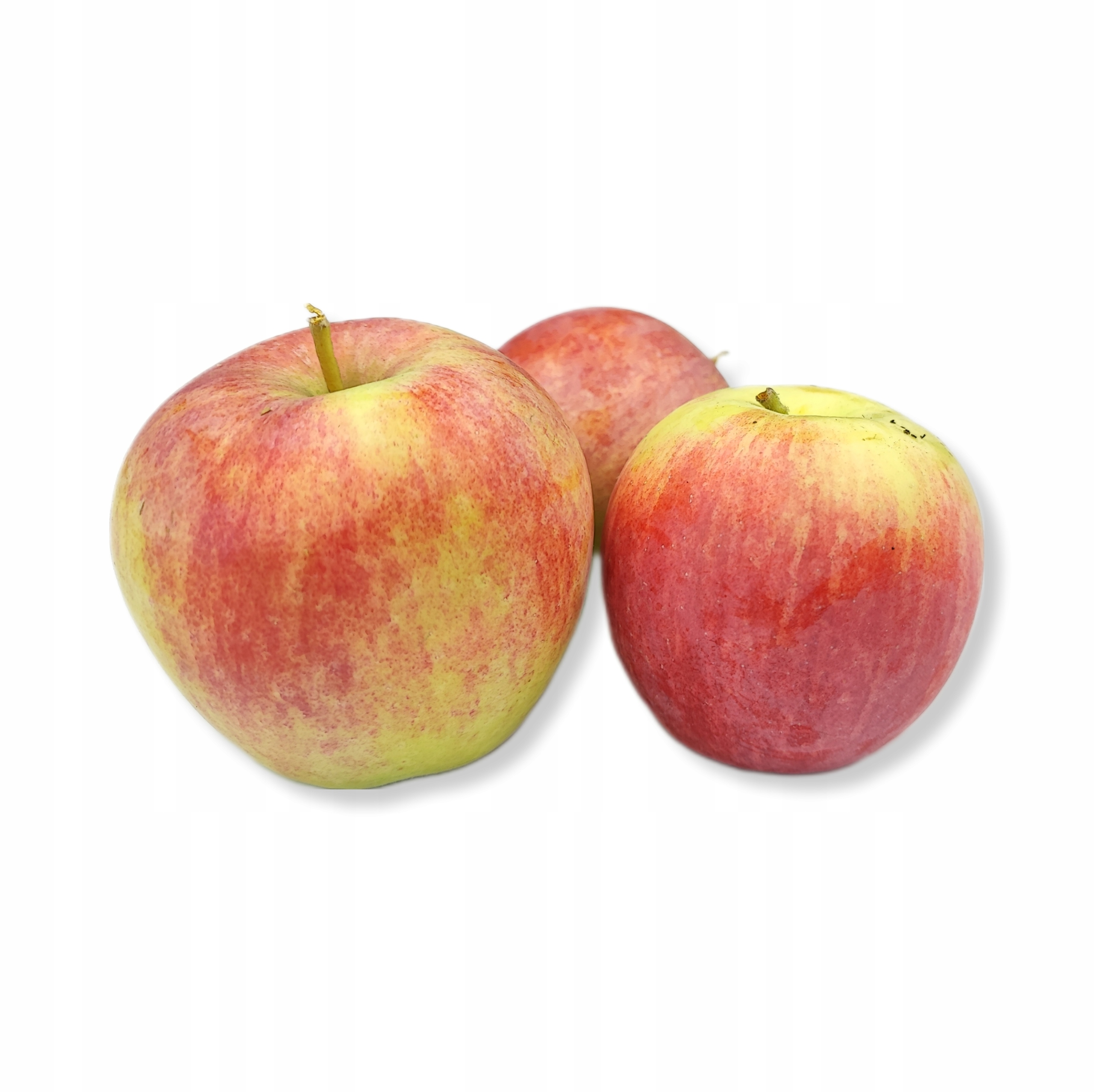 460b8c0e949b44f1301c6f1d4d77960a