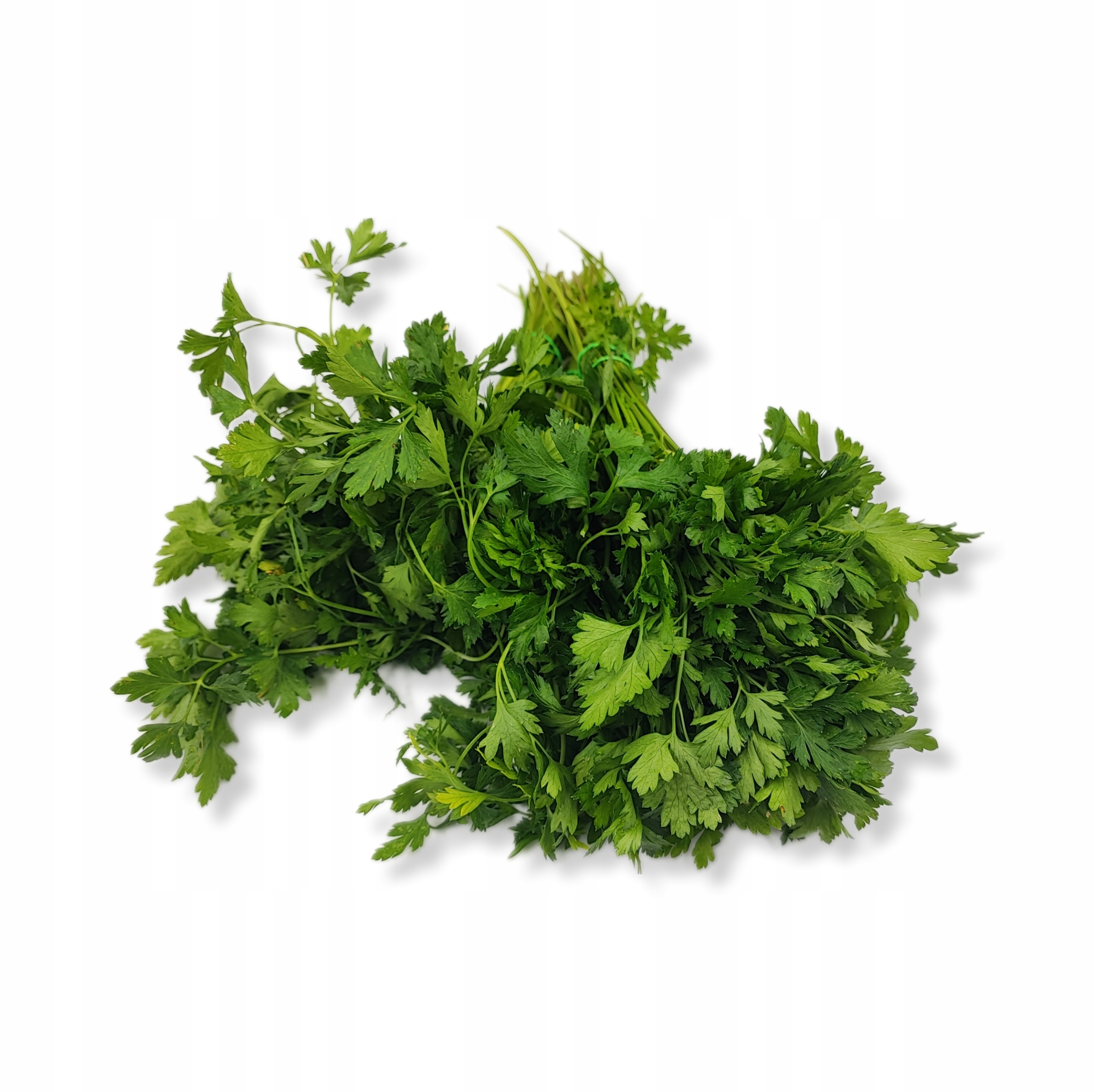 934b75c3c52ab899f4f949b7abe329d9