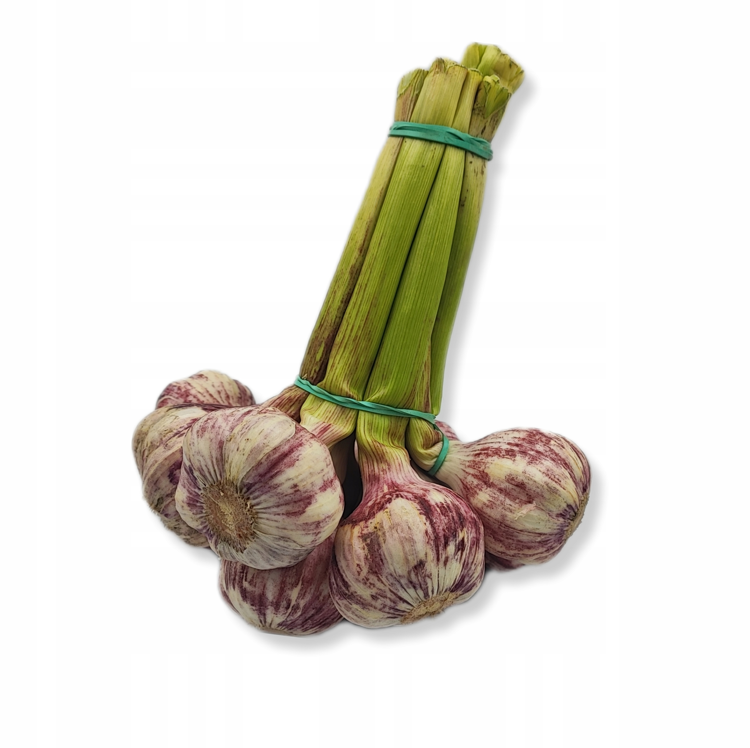 e85be26980d43c4f668c8f41532221cd