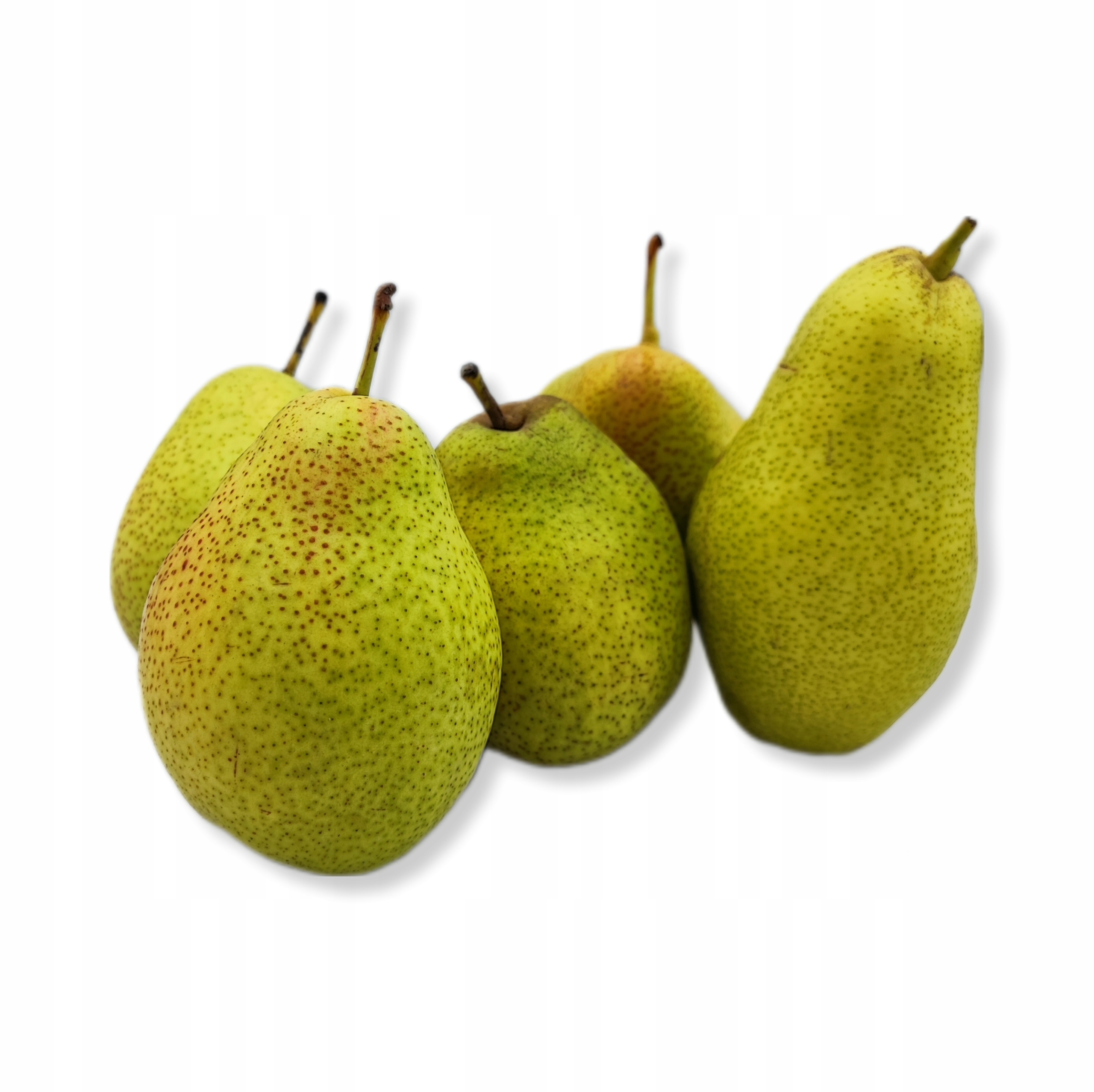 a40322cb26236a3ad3ec3bd2c4132d0e