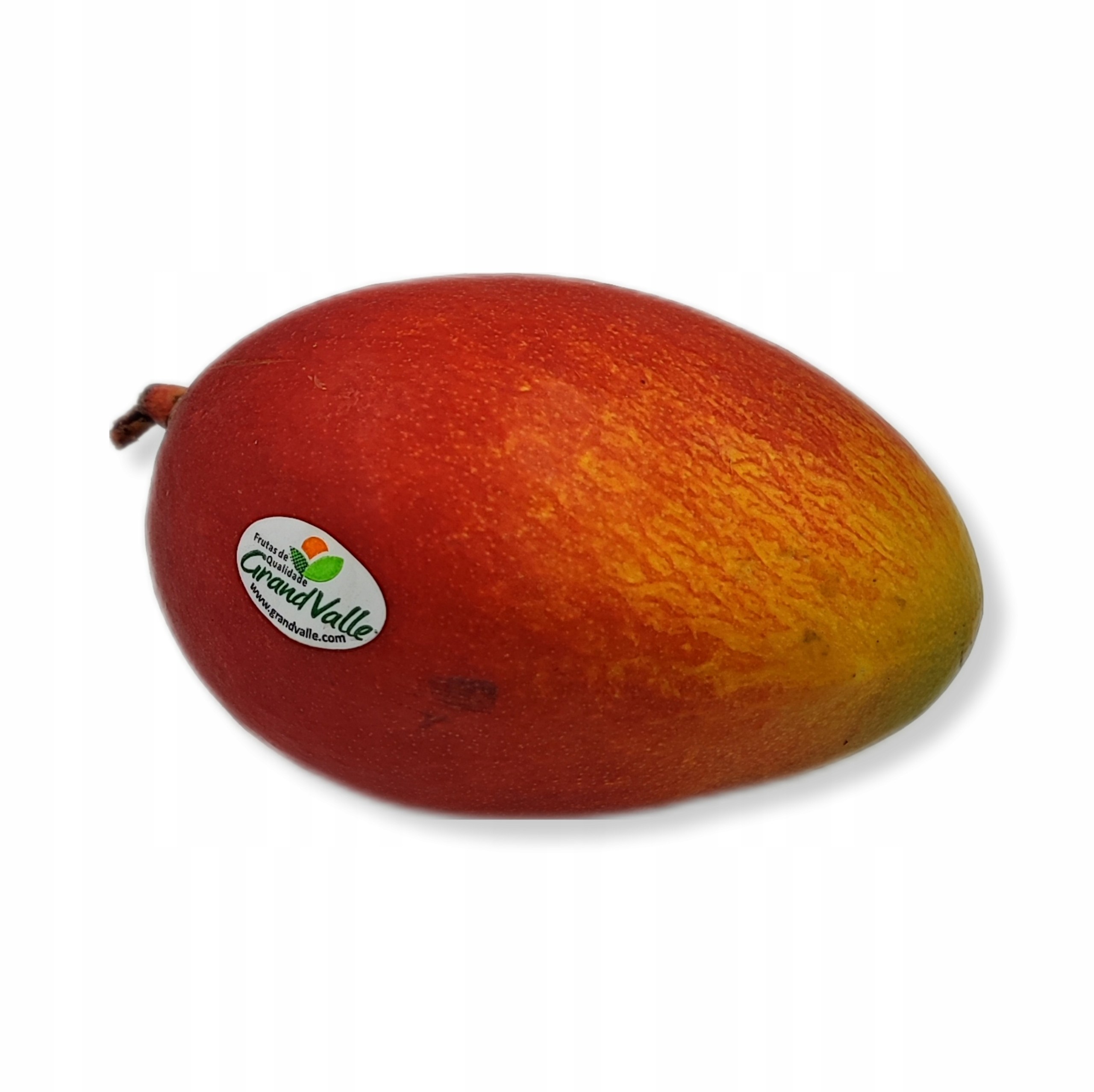 6e656e5895a6e7c1ff64be0d69b6b86f