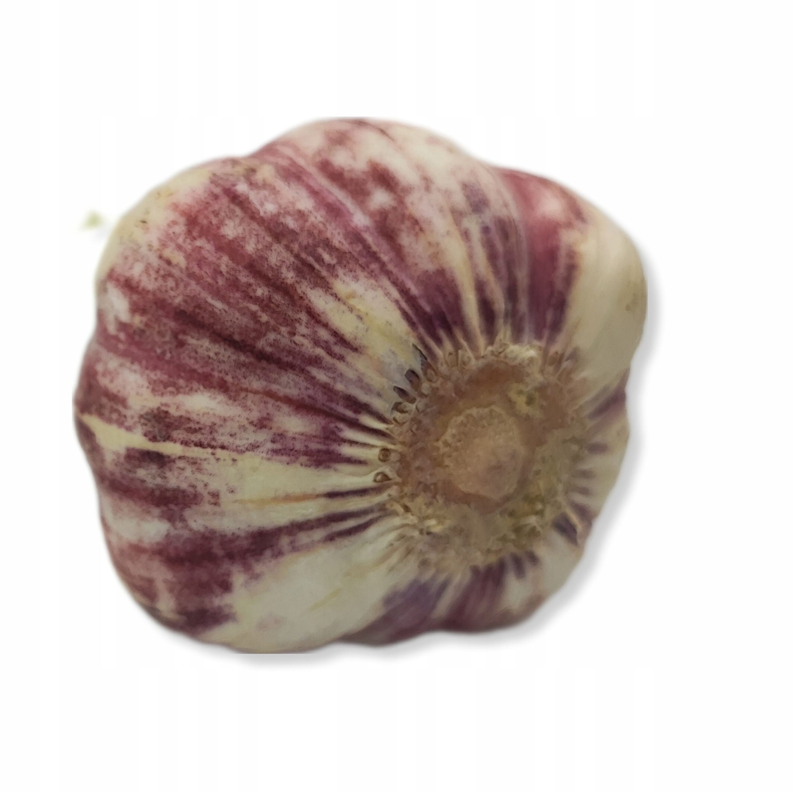 edbd9d706b3dbc65de5b8e33f0df5723