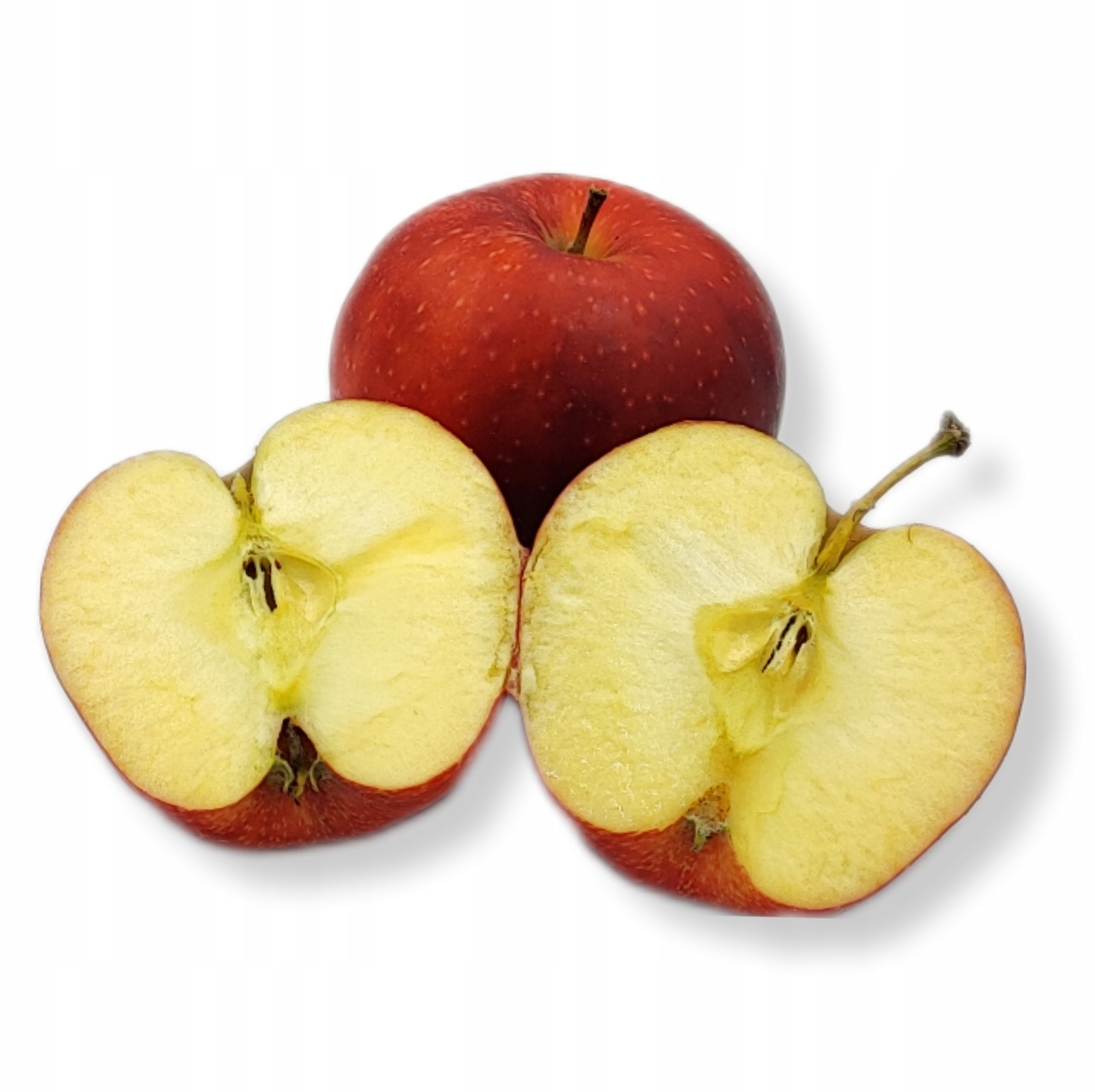 9cc2dd9cc573dd76a20d88883c14b0b7