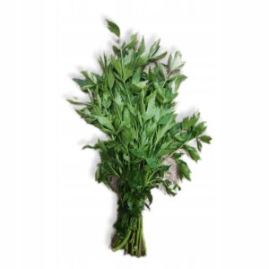 3124db2eee6da5fcc43d923ed52ffa76