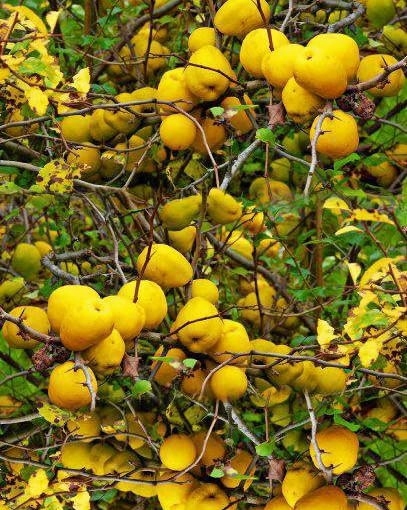 13484af8c9fc116e624b3a3813715c3d