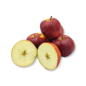 00f26fb3414f38c9c0403d5f6238ff8e