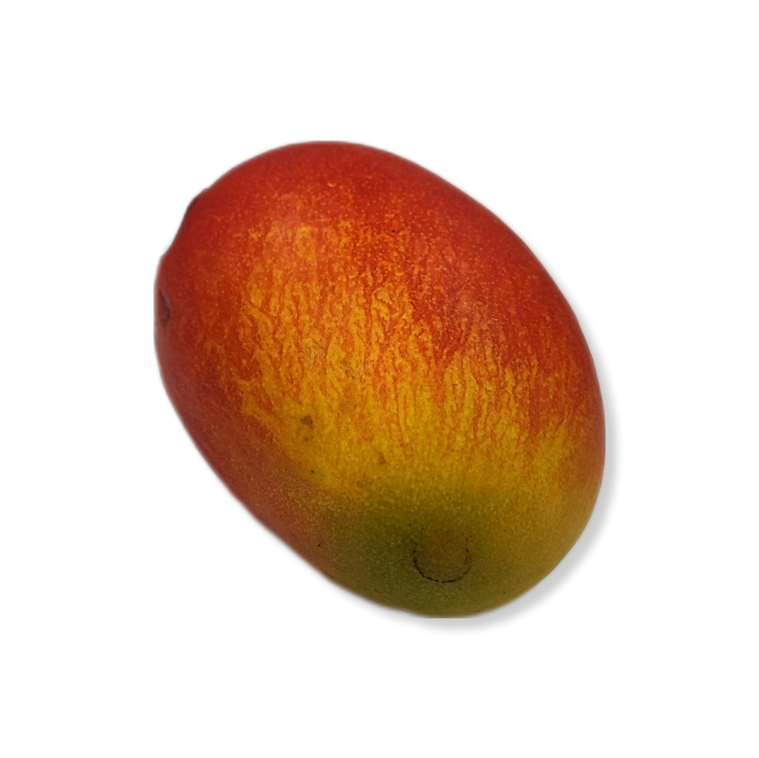 bea593d8a572101fbebfd62aacf04255