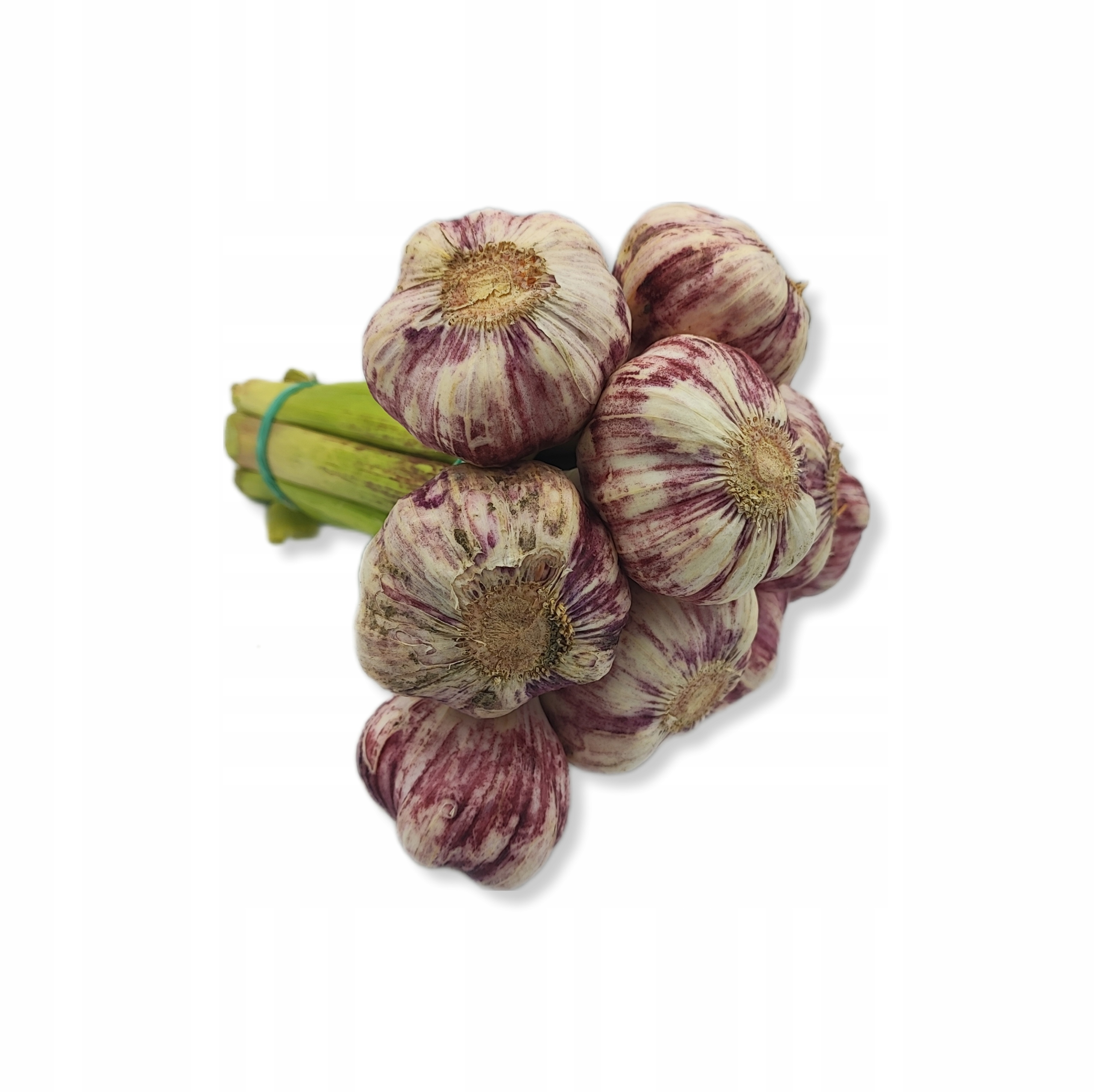 45893d37b77ea975dd37d94f17085194