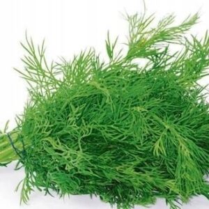 0db584821d9ee2fe6bb9e0cd63f43021