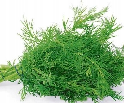 0db584821d9ee2fe6bb9e0cd63f43021