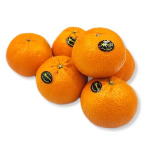 cee22c0543938e1867bf661e73cb9310