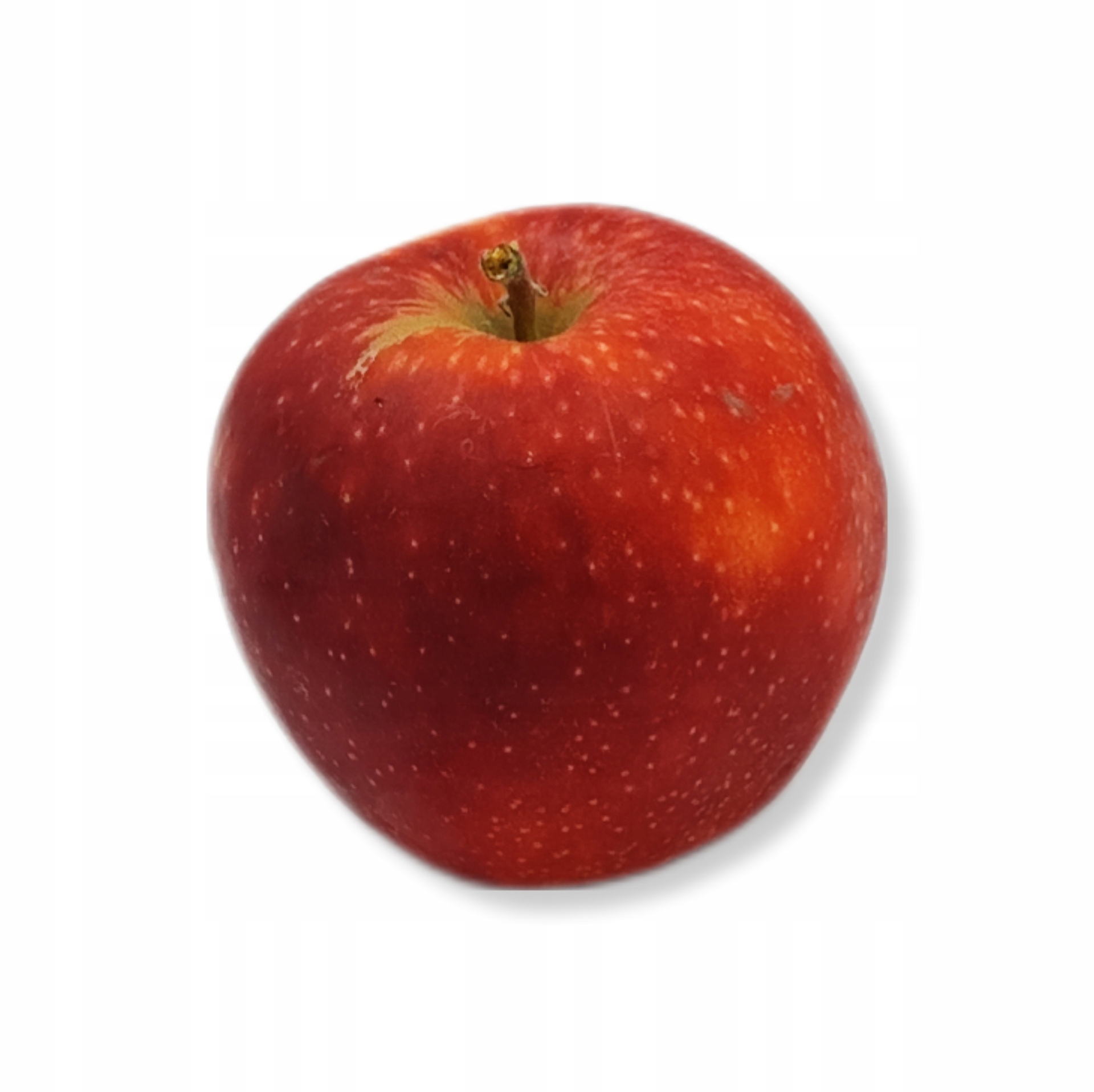 fddc1cb96c9a5e868aa15abc0381021d