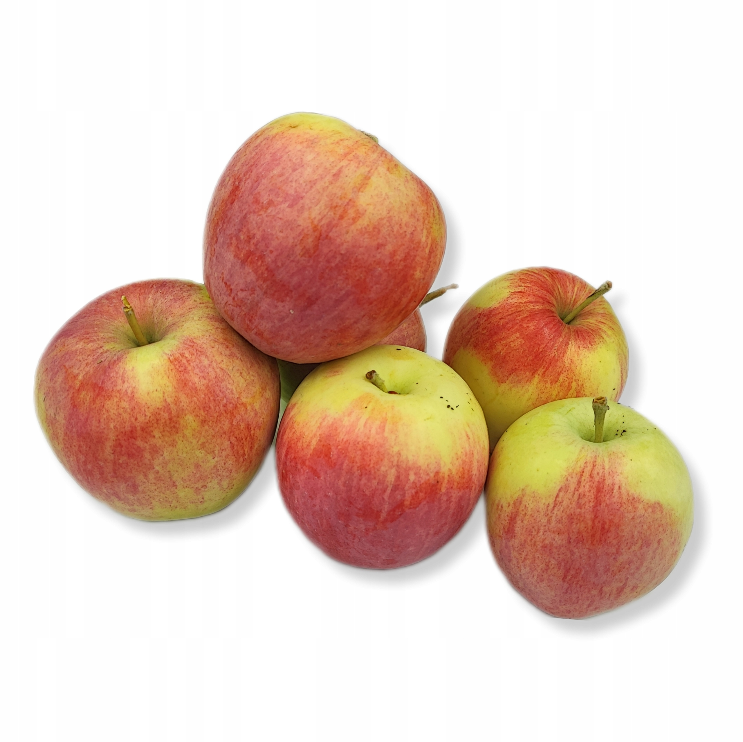 8c828c46bc96a8c6b30d7a741203630b