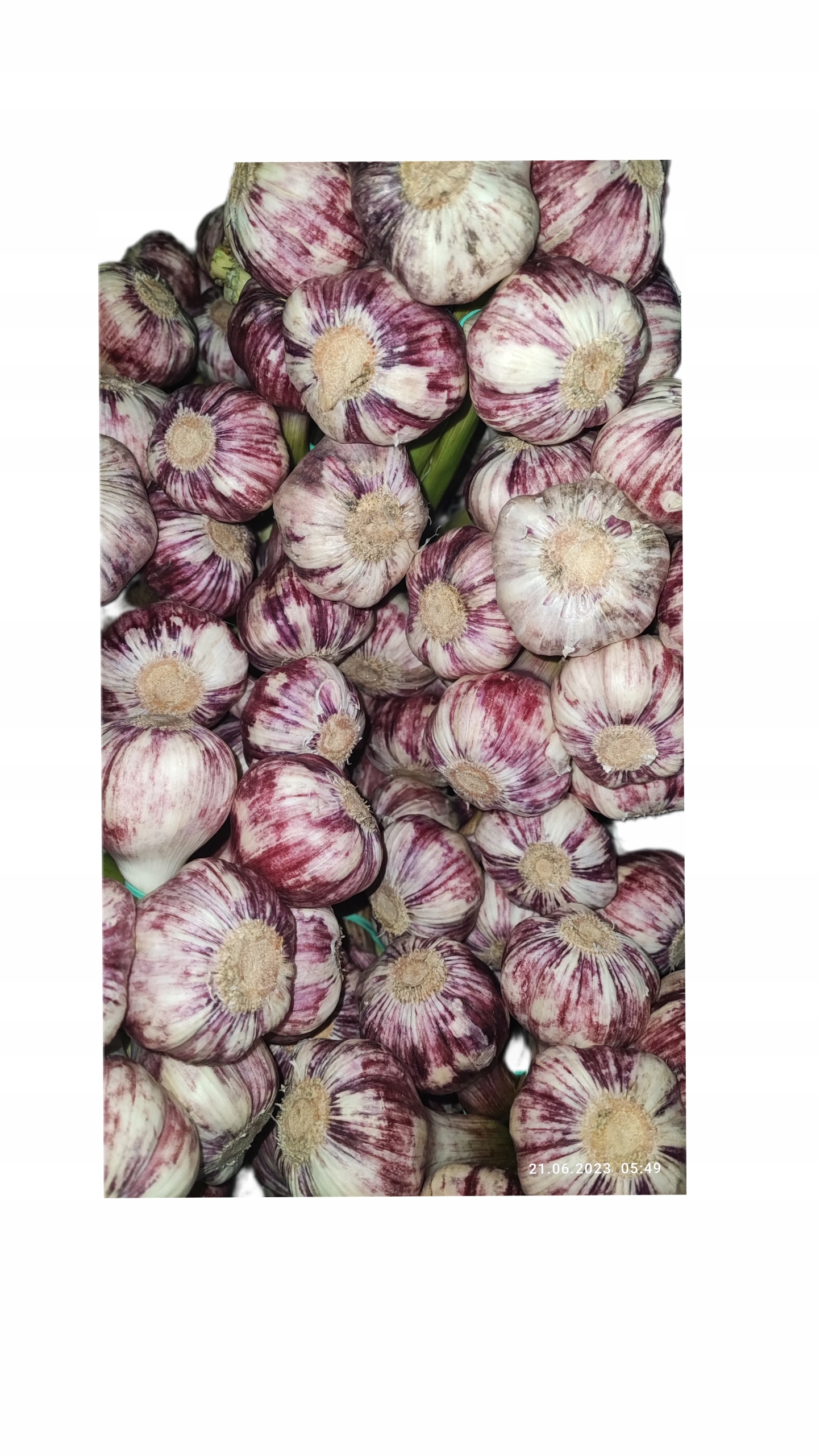 b2f694601879c89d88f0567821be8dee