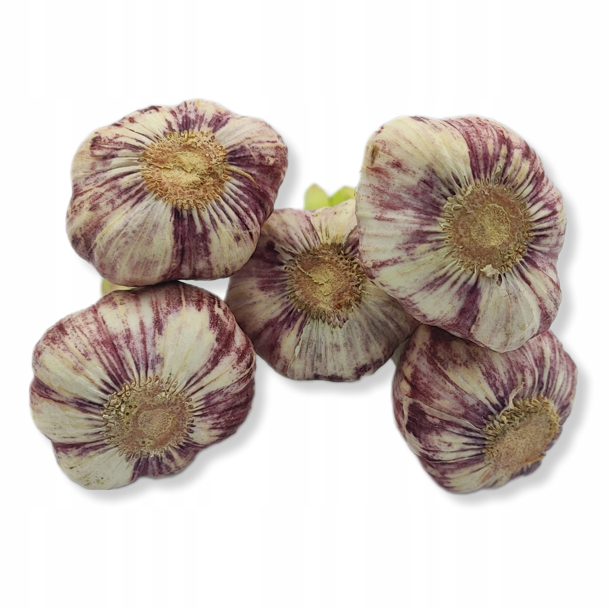 083298d41d654747a0c1d7bedc5ccee3