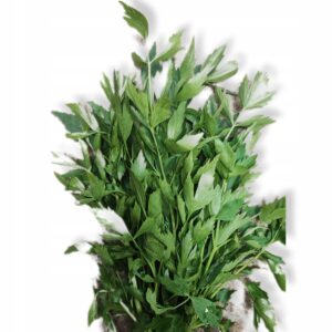 ff63801578c8a5eafad3231876500793.jpg 4e5f65916e095071c78027418f62b06b