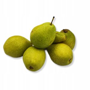 22cbc3bec0768cbe6ba18875277ce664